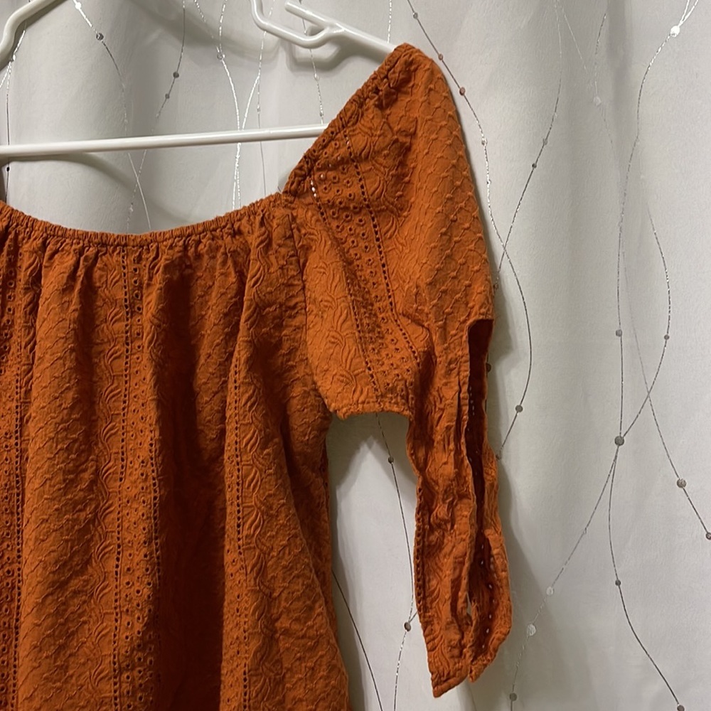 Like New Universal Thread | Eyelet Rust Crop Top,… - image 5